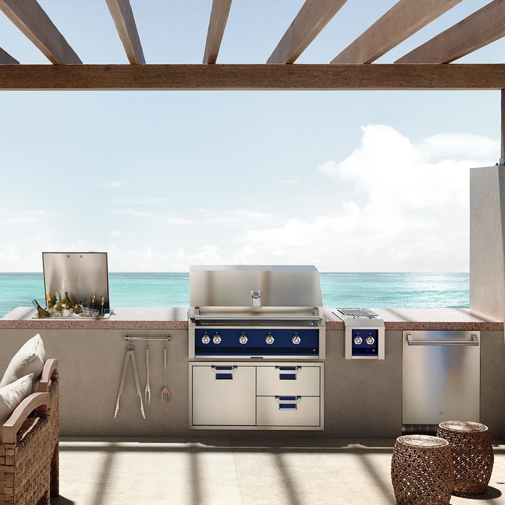 Aspire By Hestan EBR42 Built-In Gas Grill, 42-Inch - Image 3